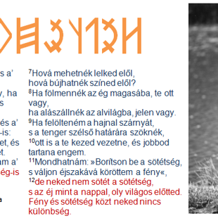 R E J T Ő Z K Ö D É S