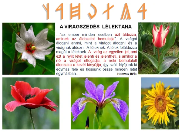 ÁLDOZAT