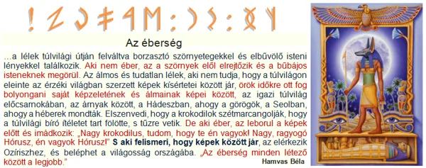 TË  ÉN  VAGyOK