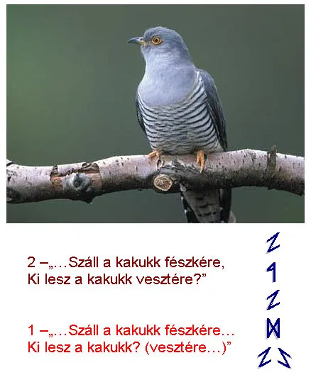 KI  LESz  KAKUKK ?