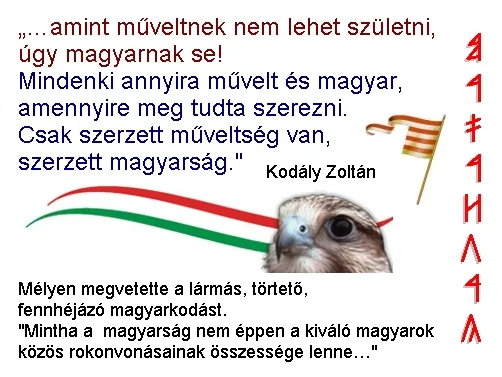 MAGyAR