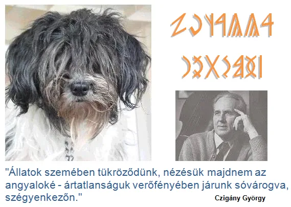 Czigány  György