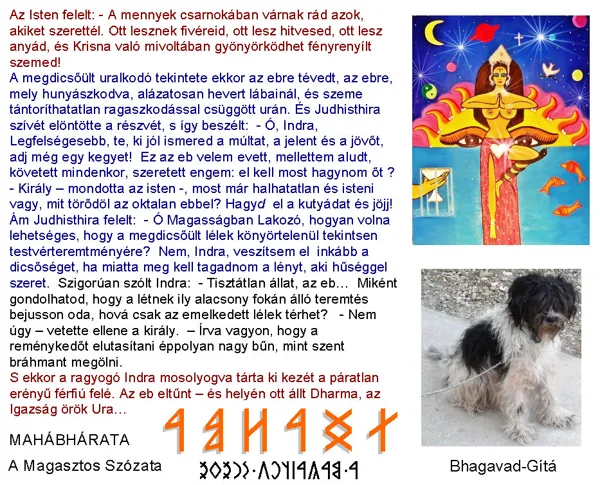 Dharma kutya... :-)