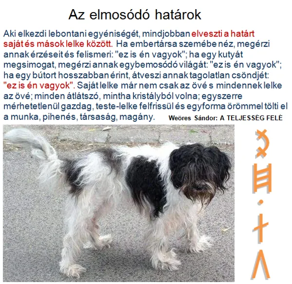 Ő  IS