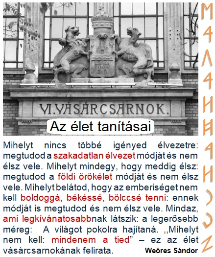 VÁSÁRCsARNOK